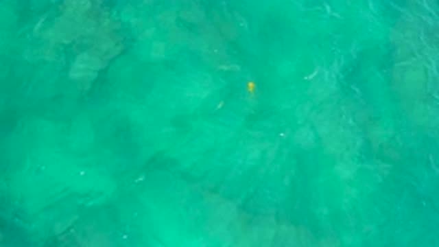 SHIPWRECKS BEACH BCS MEXICO-2020: Small Fishes Swimming Around In The Crystal Waters