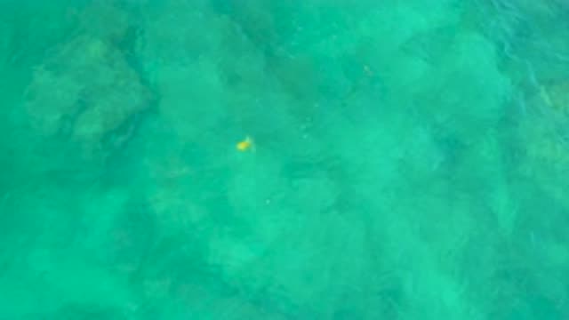 SHIPWRECKS BEACH BCS MEXICO-2020: Underwater Movement in the Sea