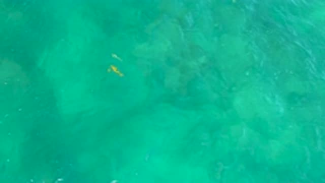 M12-20-0263-07-29-20-2020-shipwrecks-beach-bcs-mexico-DJI_0780_0007.mp4