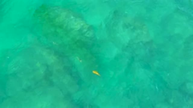 M12-20-0266-07-29-20-2020-shipwrecks-beach-bcs-mexico-DJI_0780_0010.mp4
