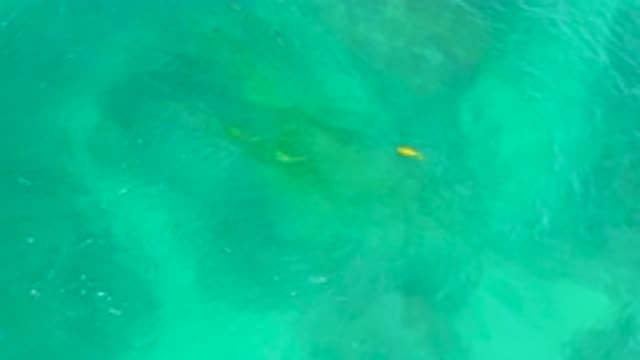 SHIPWRECKS BEACH BCS MEXICO-2020: Blue Green Water With A Few Waves And An
