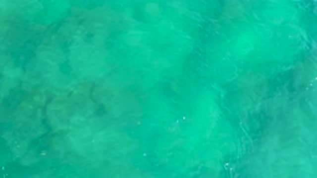 M12-20-0274-07-29-20-2020-shipwrecks-beach-bcs-mexico-DJI_0781_0001.mp4