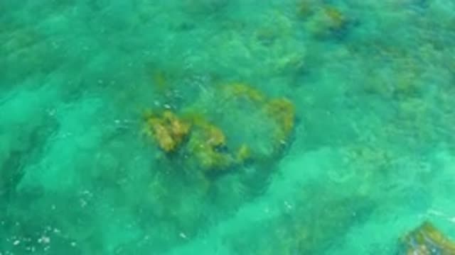 SHIPWRECKS BEACH BCS MEXICO-2020: Brown Rocks Under The Green Ocean