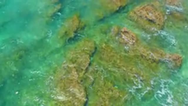 SHIPWRECKS BEACH BCS MEXICO-2020: Walking On Rocks In A Crystal Clear Ocean