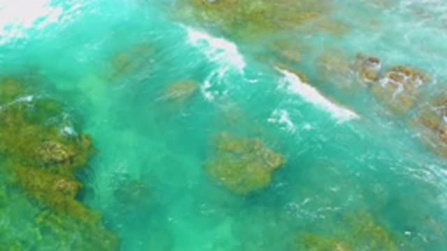 SHIPWRECKS BEACH BCS MEXICO-2020: Waves Crashing Over Sea Life