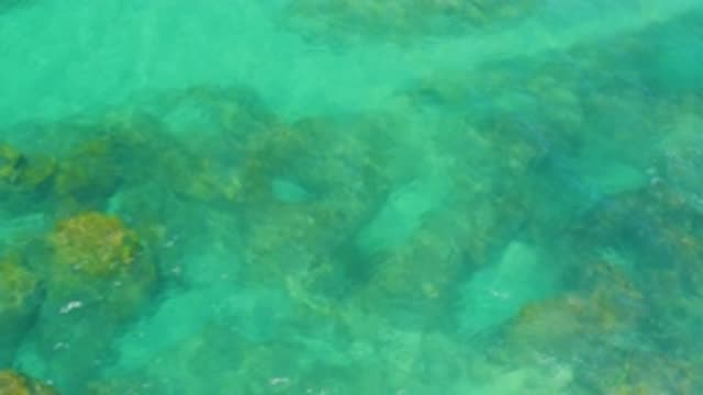 SHIPWRECKS BEACH BCS MEXICO-2020: A Calming Ocean Wave