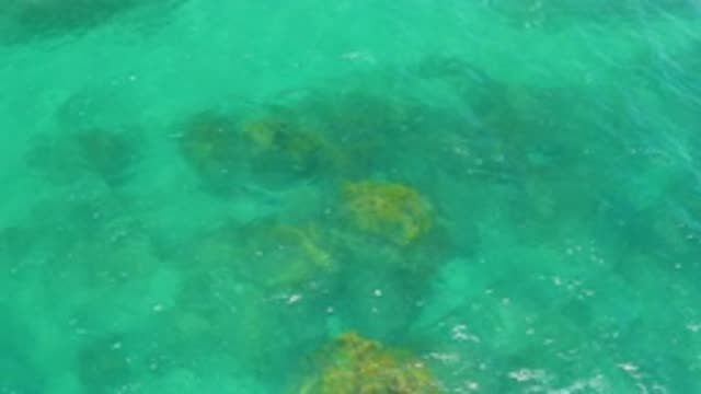 SHIPWRECKS BEACH BCS MEXICO-2020: Waves Wash Over Green Plant Life Beneath The