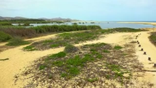 SAN JOSE DEL CABO MEXICO-2020: Quiet Seaside Landmass With Lots Of Sand Some