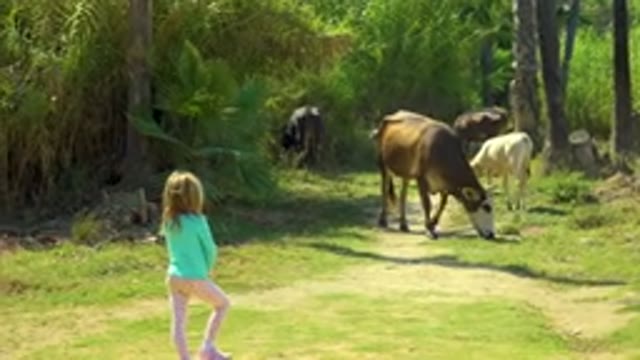 Little Girl Standing Near Grazing Cows
