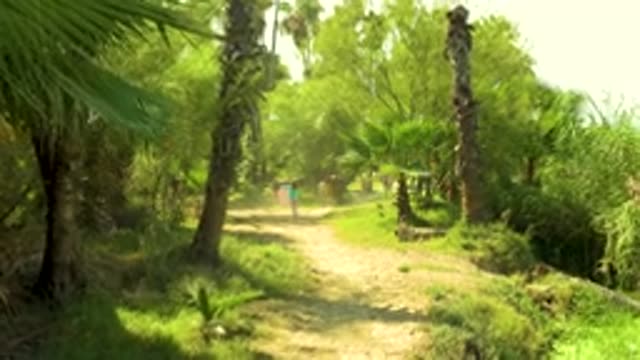 SAN JOSE DEL CABO MEXICO-2020: People Walking Around While Wild Animals Roam