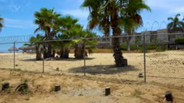 SAN JOSE DEL CABO MEXICO-2020: Vast Beach with Palm Trees and Iron Fence