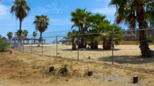 SAN JOSE DEL CABO MEXICO-2020: Tropical Landscape With Palm Trees And Sand And Huts