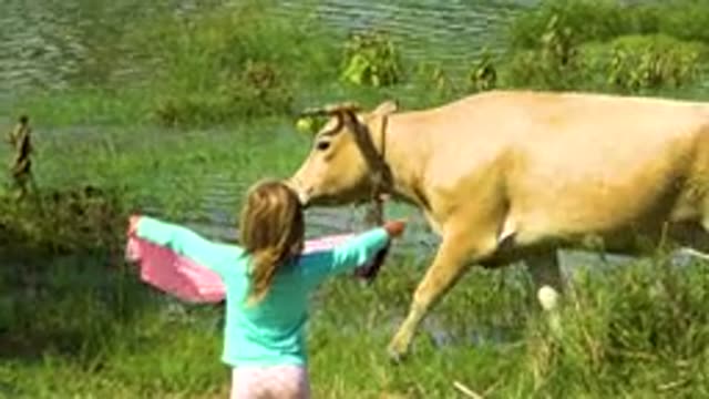 SAN JOSE DEL CABO MEXICO-2020: The Kid Plays With The Cow In The Green Grass