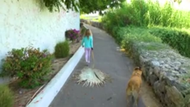 Girl Riding Straw Broom with Dog