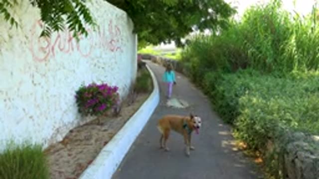 SAN JOSE DEL CABO MEXICO-2020: Girl In Bright Casual Clothing Strolls Along