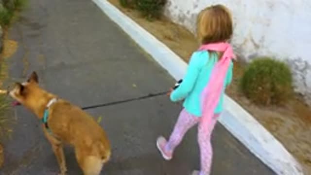 SAN JOSE DEL CABO MEXICO-2020: Little Girl Walking The Dog