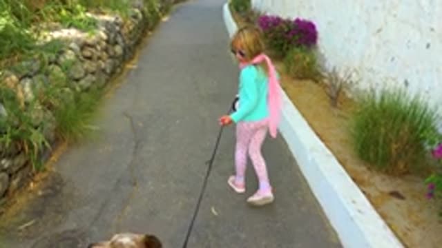 SAN JOSE DEL CABO MEXICO-2020: A Young Girl Is Walking A Brown Dog On A Black Leash