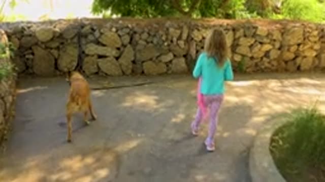 SAN JOSE DEL CABO MEXICO-2020: Child Walking Her Dog in Backyard on Sunny Day