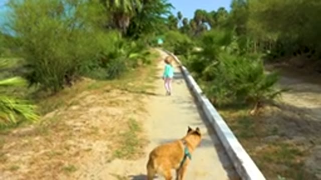 Girl Running On Path With Dog