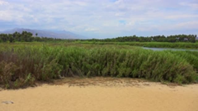 SAN JOSE DEL CABO MEXICO-2020: Breezy Afternoon View With Iris Flying Over Green Hills
