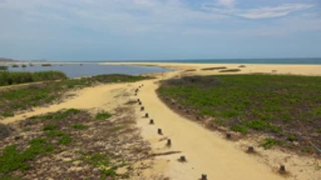 SAN JOSE DEL CABO MEXICO-2020: Pinon Marking Running Path On The Beach Near The