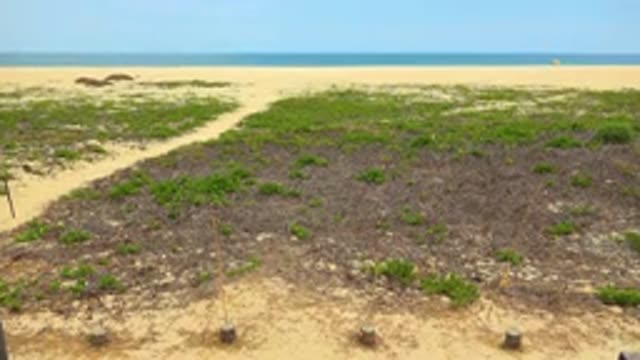 SAN JOSE DEL CABO MEXICO-2020: A Wonderful View Of A Land Near A Sea