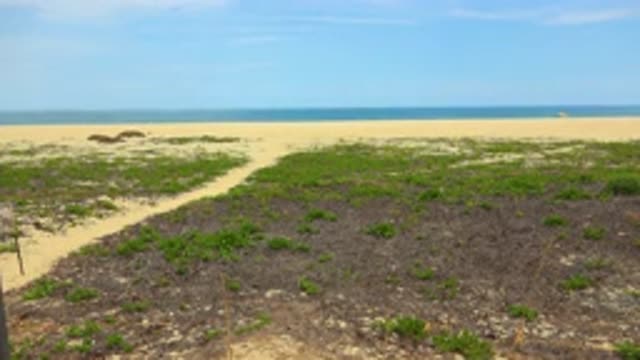 SAN JOSE DEL CABO MEXICO-2020: Walk Through The Dunes Onto Beautiful White Beach