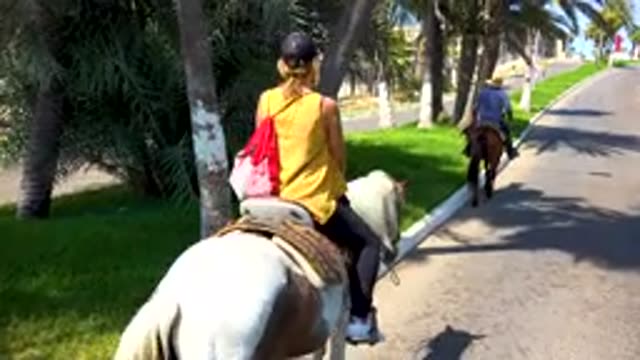 SAN JOSE DEL CABO MEXICO-2020: Woman Is Riding A Pony On A Cobblestone Path In