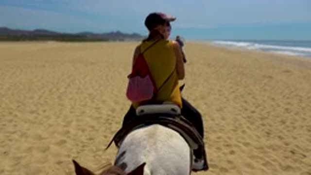 SAN JOSE DEL CABO MEXICO-2020: Adventurous Horseback Riding Along Beautiful Coastline