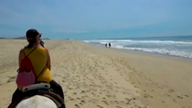 Woman Riding Horse Along Sandy Beach