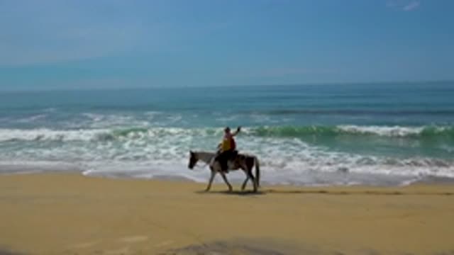 SAN JOSE DEL CABO MEXICO-2020: Young Lady Riding Horse Near Blue Sea
