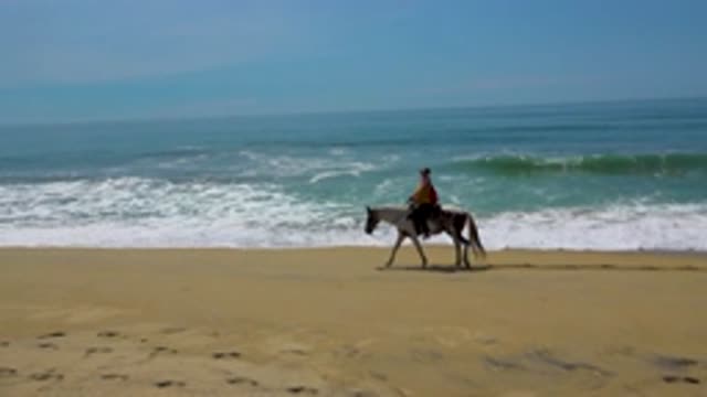 SAN JOSE DEL CABO MEXICO-2020: Man Riding A Horse Along A Beach Beside The Ocean