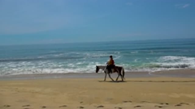 SAN JOSE DEL CABO MEXICO-2020: Riding On The Beach