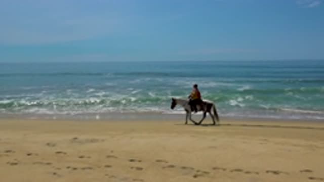 SAN JOSE DEL CABO MEXICO-2020: Men Riding Horse on Beach Near the Sea