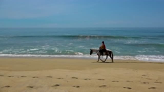 SAN JOSE DEL CABO MEXICO-2020: Woman Riding Appaloosa Horse Along Beach