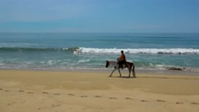 SAN JOSE DEL CABO MEXICO-2020: Person Riding Horse Along Beach