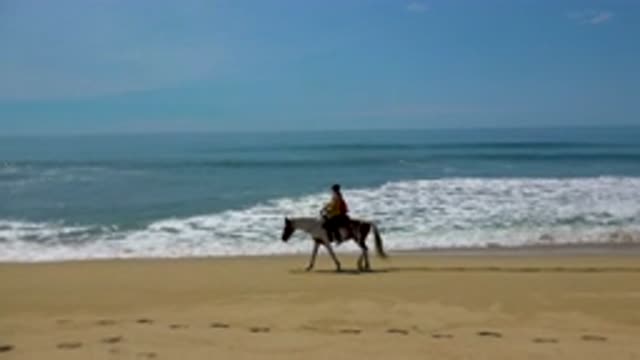 SAN JOSE DEL CABO MEXICO-2020: A Horseback Ride By The Sea With The Calm And The