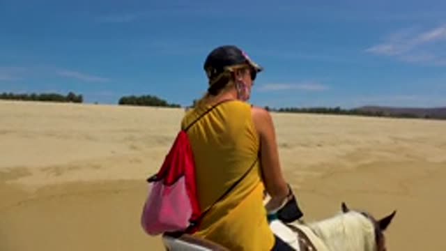 SAN JOSE DEL CABO MEXICO-2020: Beach Horses Riding Shores Sand Water Blue