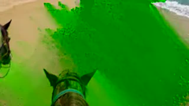 SAN JOSE DEL CABO MEXICO-2020: Two Horses Walking In The Sea Shore