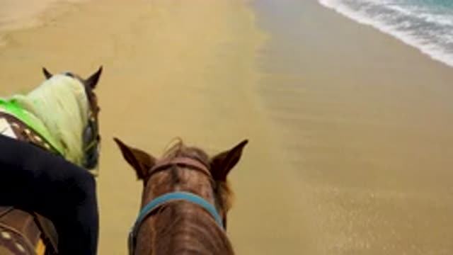 SAN JOSE DEL CABO MEXICO-2020: GoPro Horse Riding Along the Sea