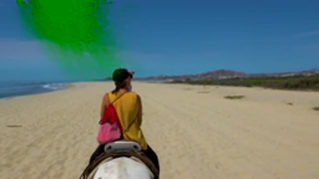 SAN JOSE DEL CABO MEXICO-2020: Take A Horseback Riding Course On The Beach With