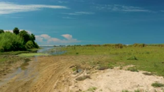SAN JOSE DEL CABO MEXICO-2020: Blue Sea Water With Green Trees And Bushes With