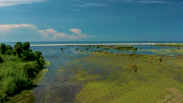 SAN JOSE DEL CABO MEXICO-2020: A Large Body Of Water With Green Areas Throughout