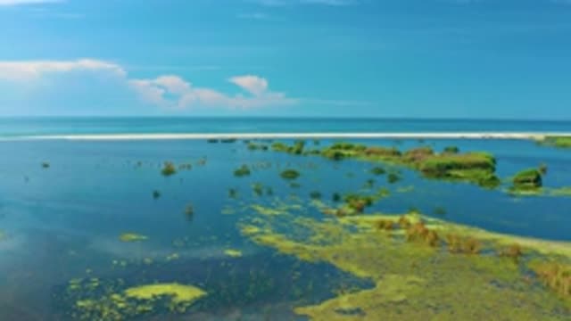 SAN JOSE DEL CABO MEXICO-2020: Beautiful Ocean And Horizon View