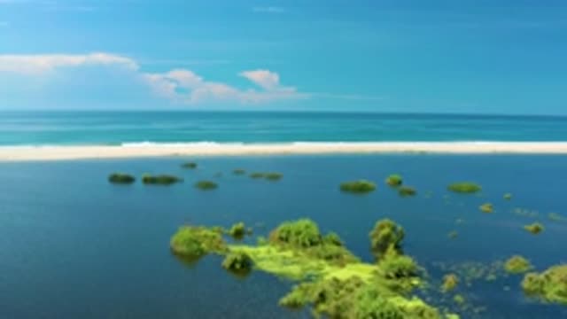 SAN JOSE DEL CABO MEXICO-2020: Aerial View Showing Flooded Lands With Tree Tops