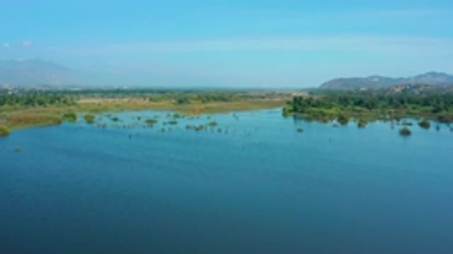 SAN JOSE DEL CABO MEXICO-2020: Quiet Lake Grassland Area With Bio Life Ecosystem