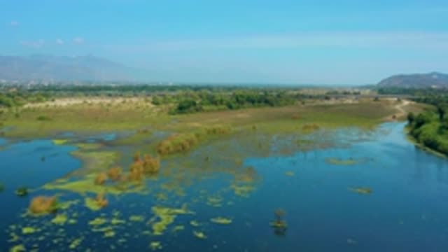 SAN JOSE DEL CABO MEXICO-2020: Overview Of A Grassy Terrain Over Lake And Trees