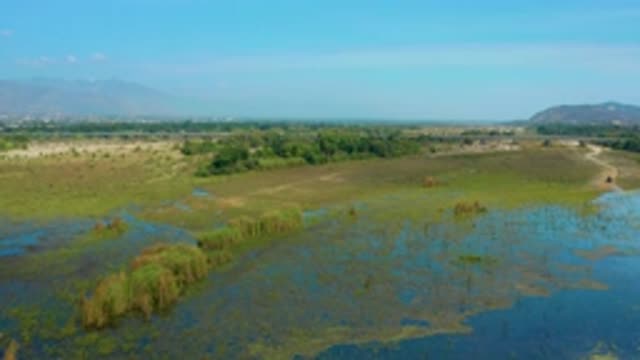 SAN JOSE DEL CABO MEXICO-2020: Aerial View Of Beautiful Green Marshlands On A