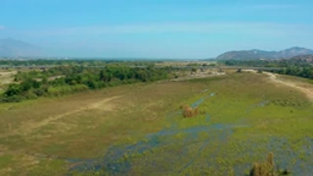 SAN JOSE DEL CABO MEXICO-2020: Calm Overhead View Of Green Marshland With