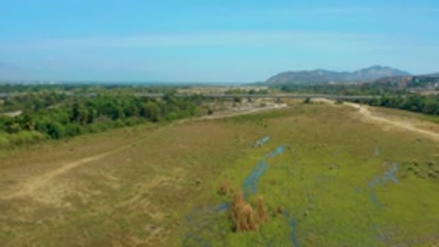 SAN JOSE DEL CABO MEXICO-2020: Empty Green Pasture Surrounded By Trees Featuring